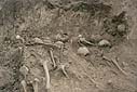 Wola Ostrowiecka, 1992 r. Odkryta zbiorowa mogiła części zamordowanych przez UPA mieszkańców wsi podczas ekshumacji w 1992 r.