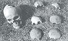 Wola Ostrowiecka, 1992 r. Czaszka osoby dorosłej i fragmenty czaszek dziecięcych wydobytych z mogiły podczas ekshumacji.